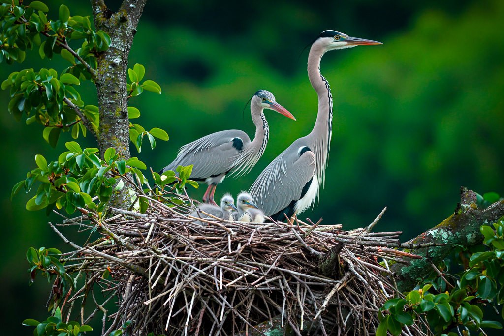Natuur.